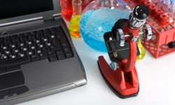 Suspendisse arcu nisl