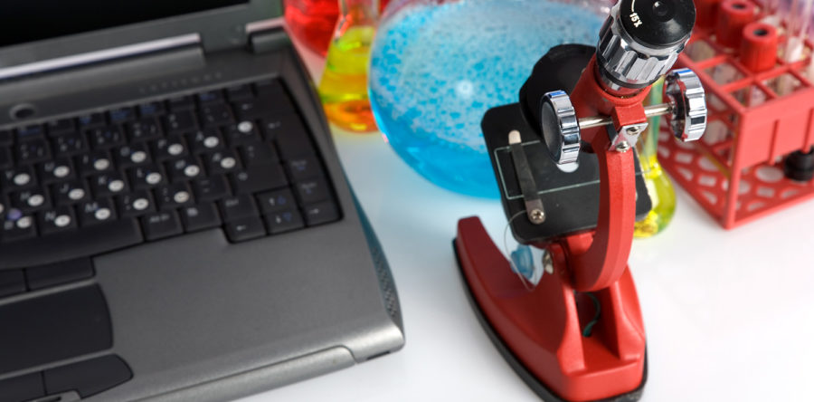 Suspendisse arcu nisl