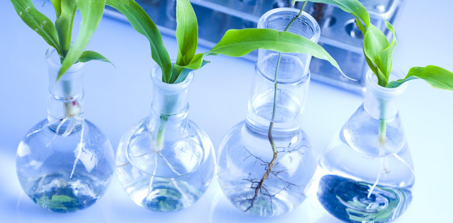 Mes cuml dia sed ineniasinge dolor commete ipsum comnetus.